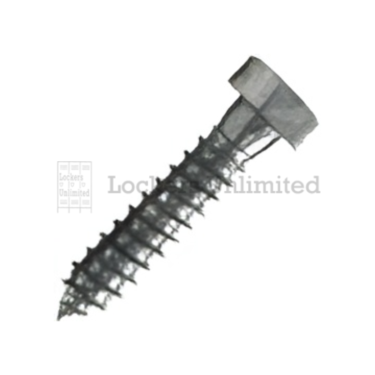 Stainless Steel Lag Screw, 1_4″ x 1″ (for locker bench)